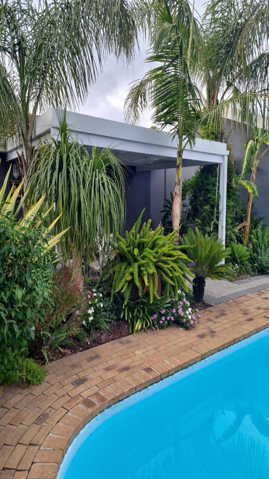 Northern Vine Guesthouse B&B Self-Catering ブラッケンフェル エクステリア 写真